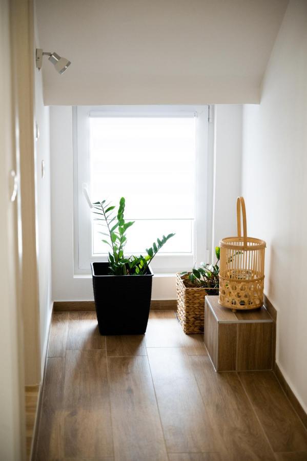 Apartmant Green Treasure Marčana Esterno foto